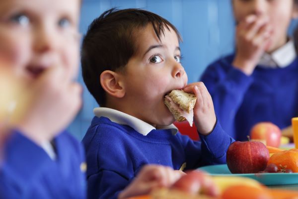 Healthy school lunches? A culinary medicine expert prescribes fresh, tasty strategies