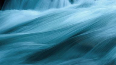 Department of Anesthesiology and Pain Management