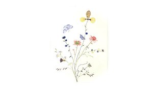 Watercolor flower collage