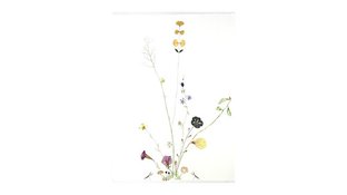 Watercolor flower collage