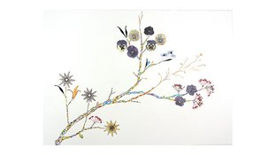 Watercolor flower collage