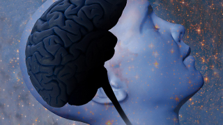 diagram of a person's head showing their brain inside