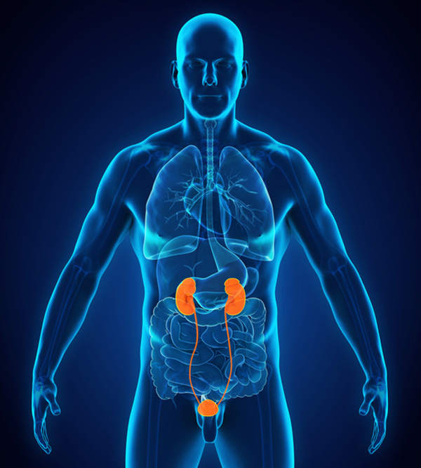 Jared’s story: 4 kidney transplants in 30 years