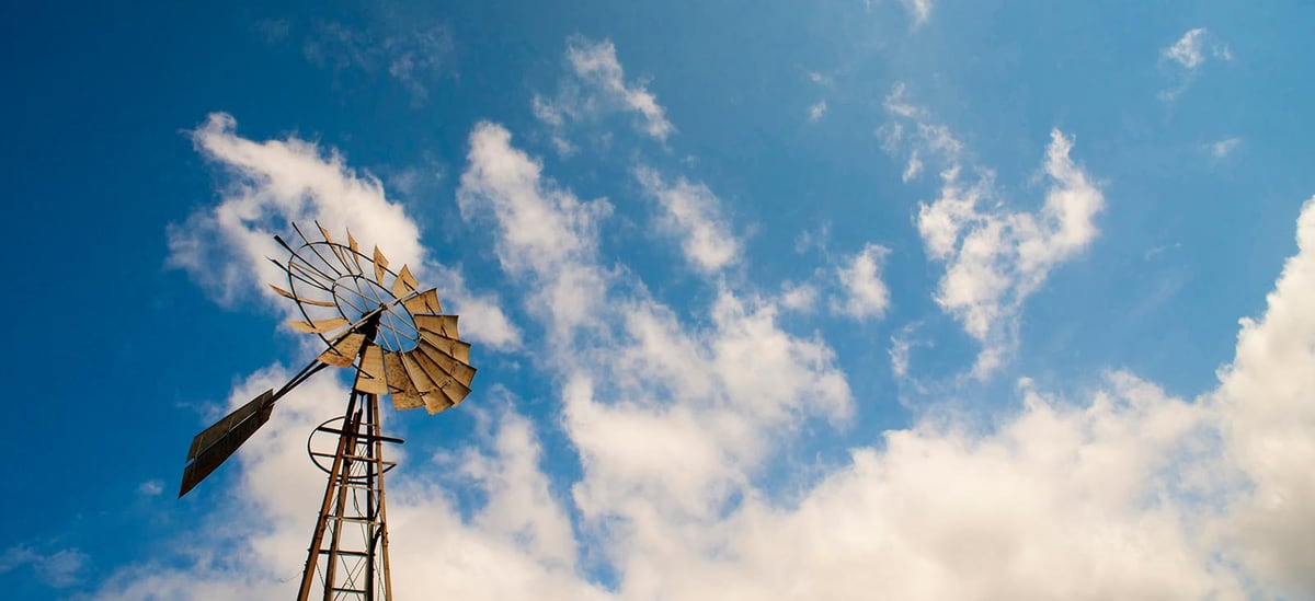 What to include in your ‘voice care lunchbox’ – and what to leave out