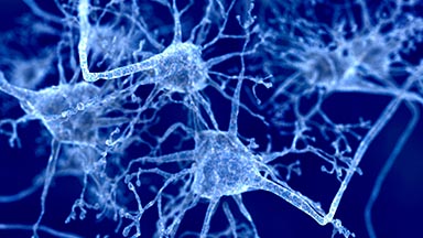 Department of Neurology