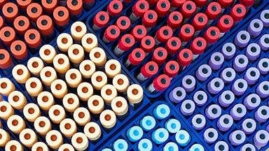 Department of Pathology