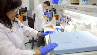 Immunotherapy for kidney cancer: Using the body as a weapon - Featured image